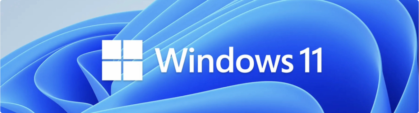 Windows 11